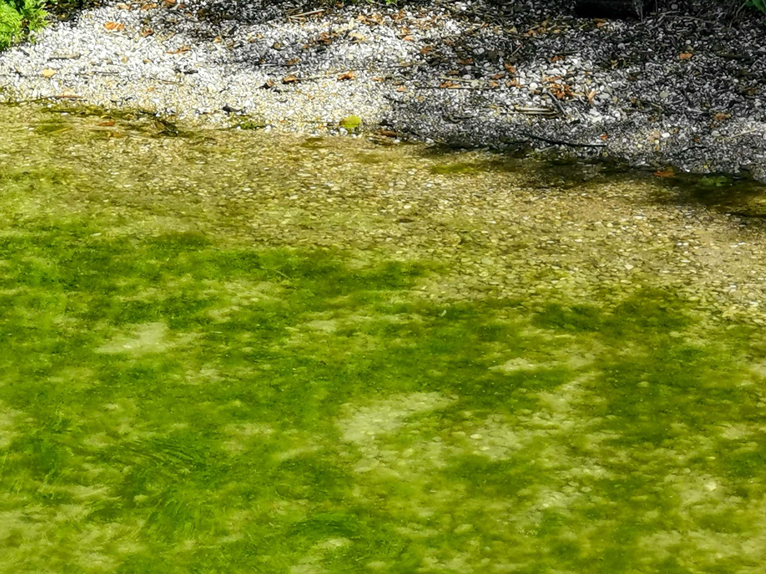 Wörthsee-Impressionen-111616