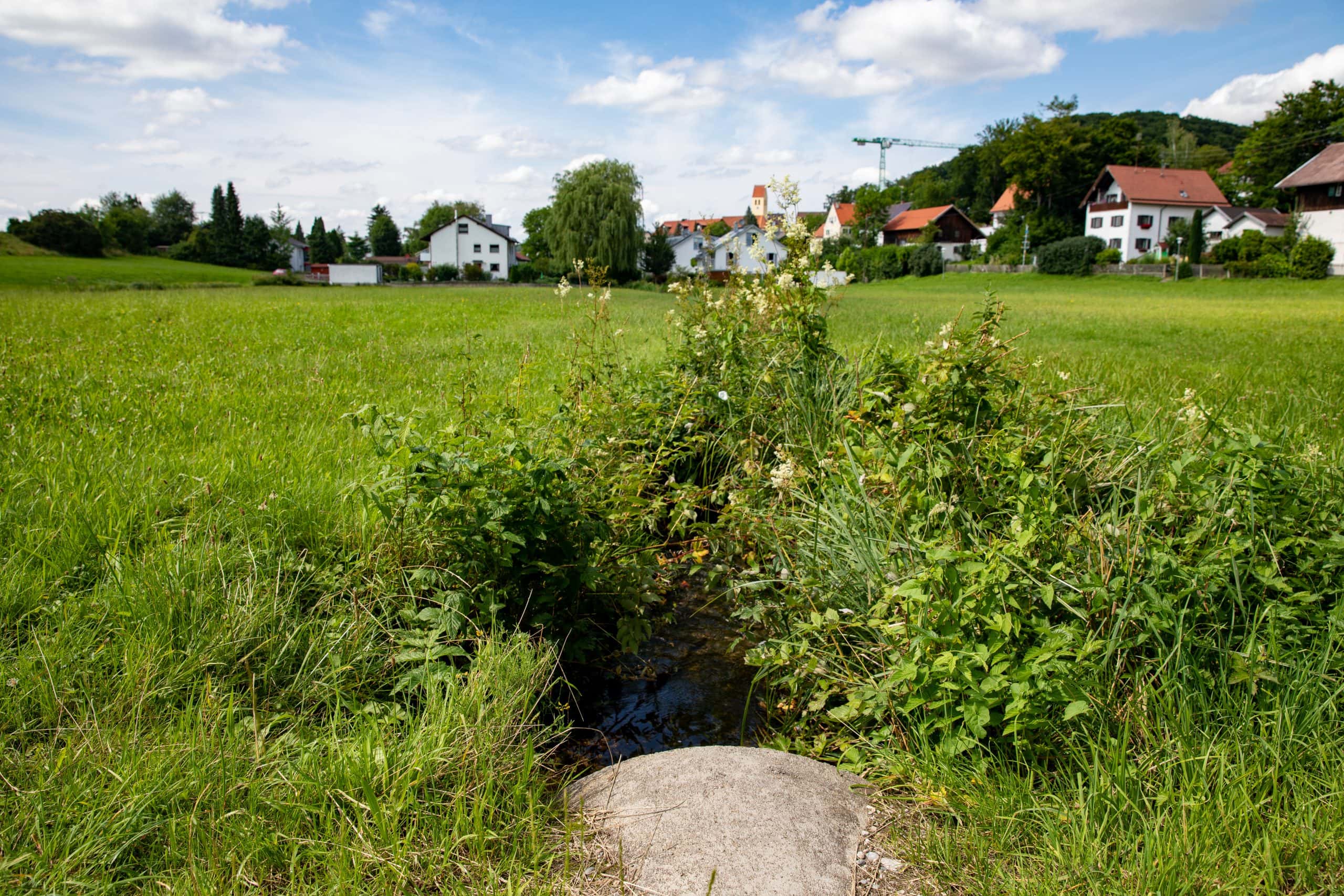 Wörthsee Zufluss Auinger Bach