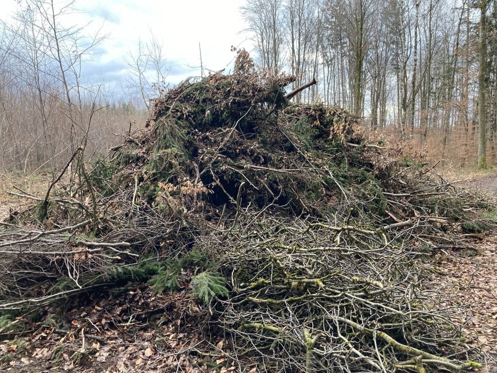 Waldrestholz