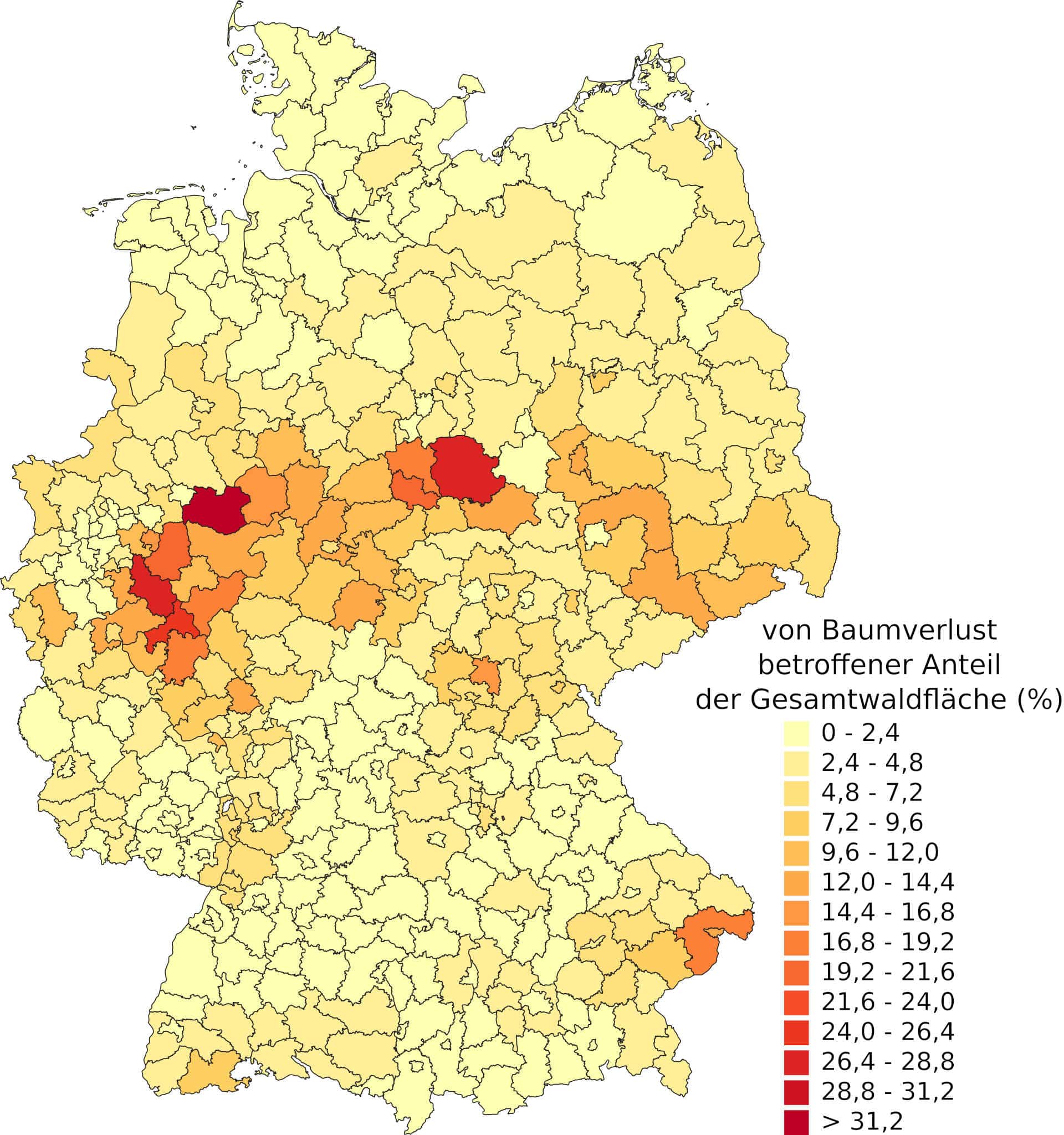 Waldverluste in Deutschland 2018-2021