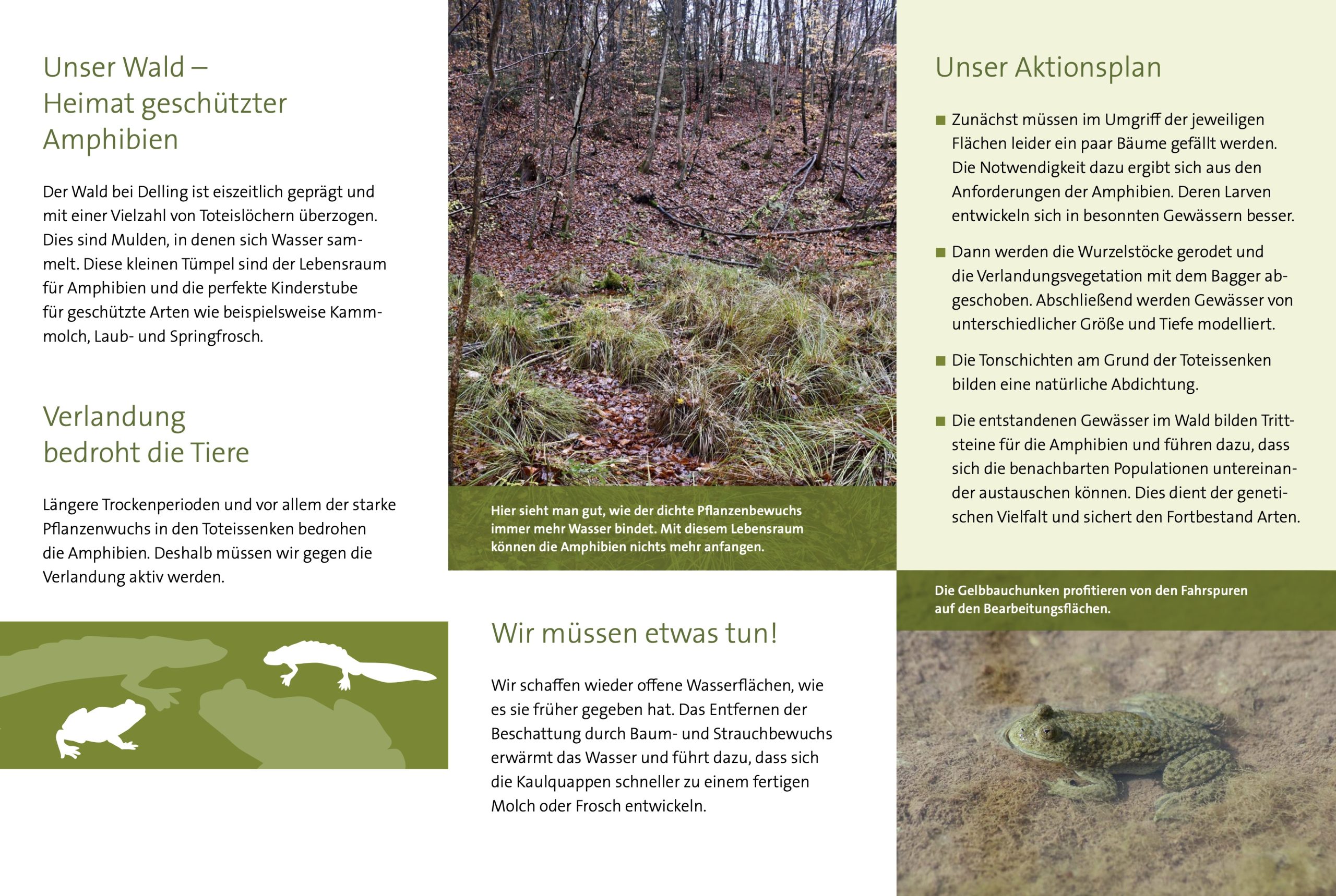 Flyer Wir helfen Amphibien2