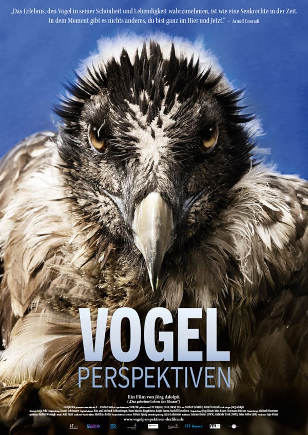 Plakat Vogelperspektiven