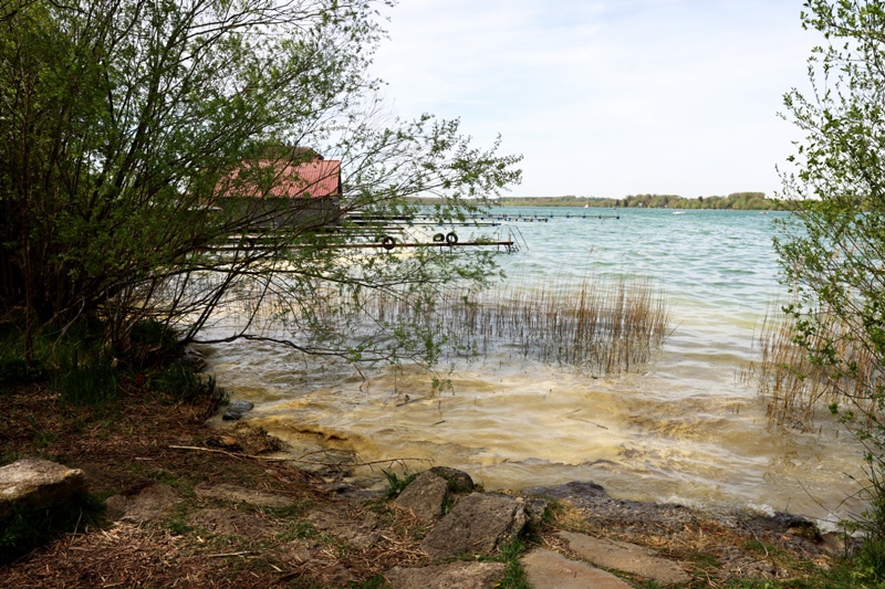 Schilf gemäht in Wörthsee