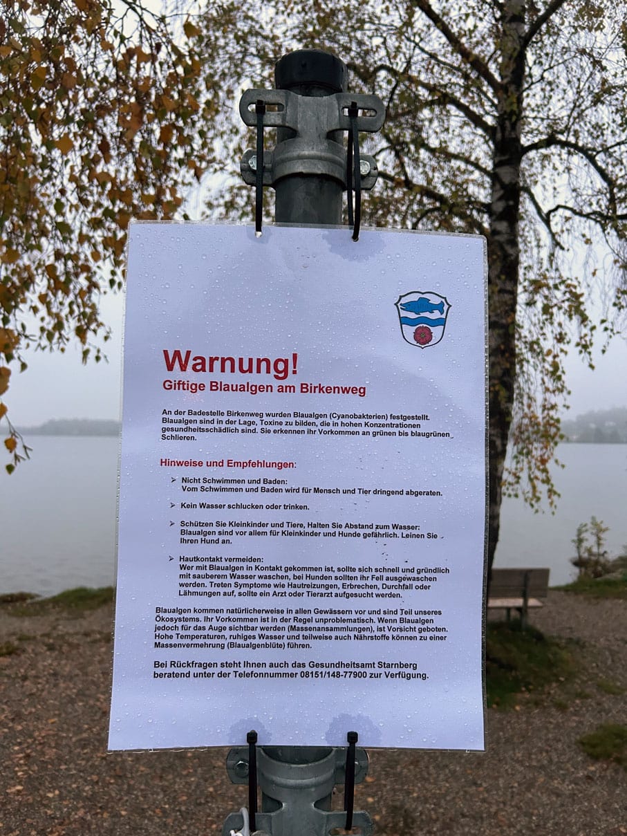 Warnhinweis für Schwimmer. Giftige Blaualgen Warnhinweis für Schwimmer. Giftige Blaualgen