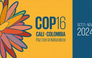 UN COP16 Artenschutzkonferenz Cali