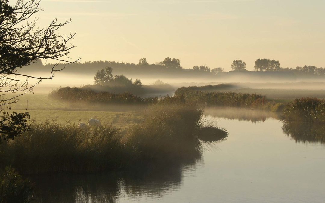 Om het beeld te voltooien